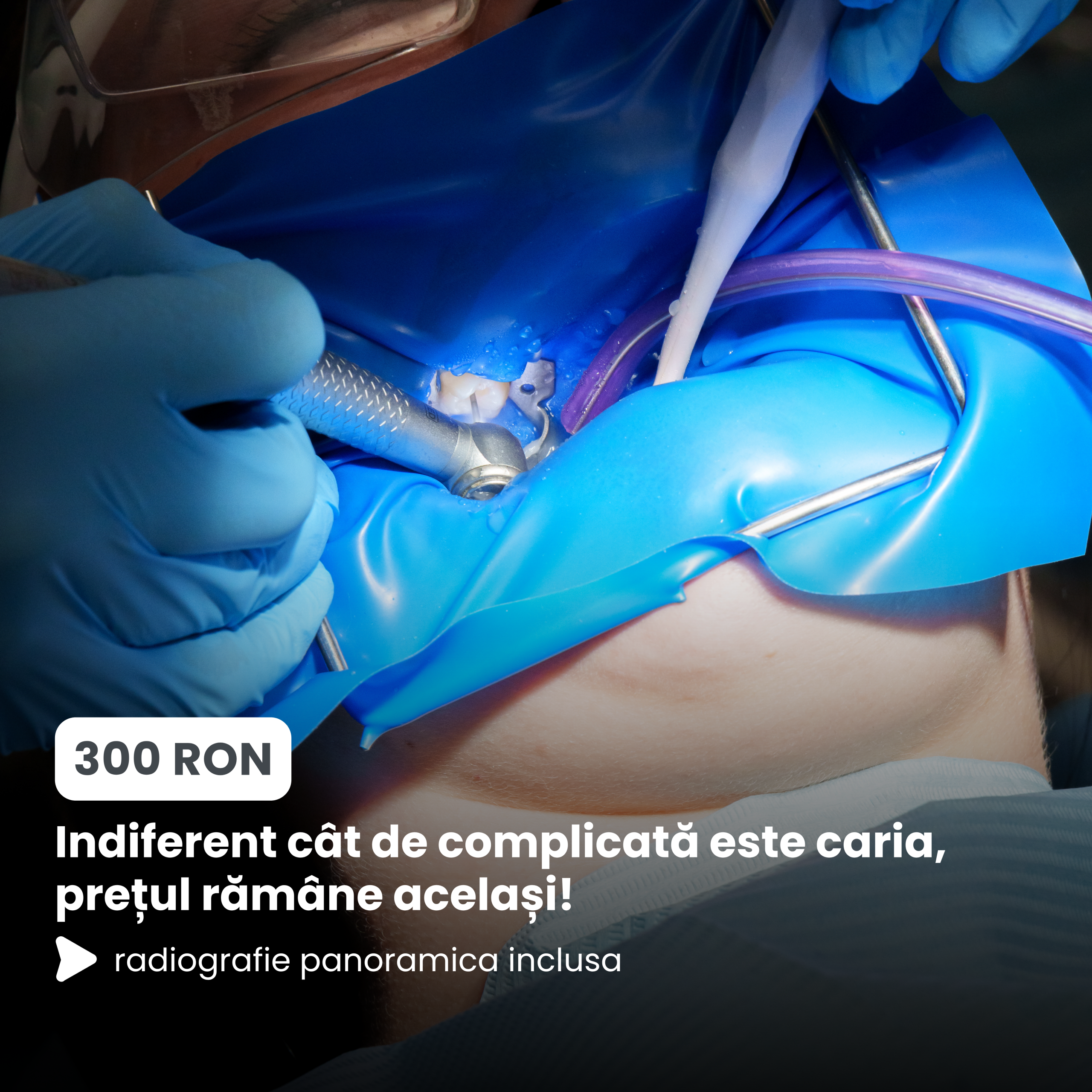 SERVICII